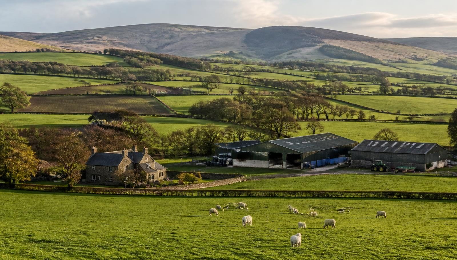 Working farm with farmhouse, farm buildings and pasture below rolling hills