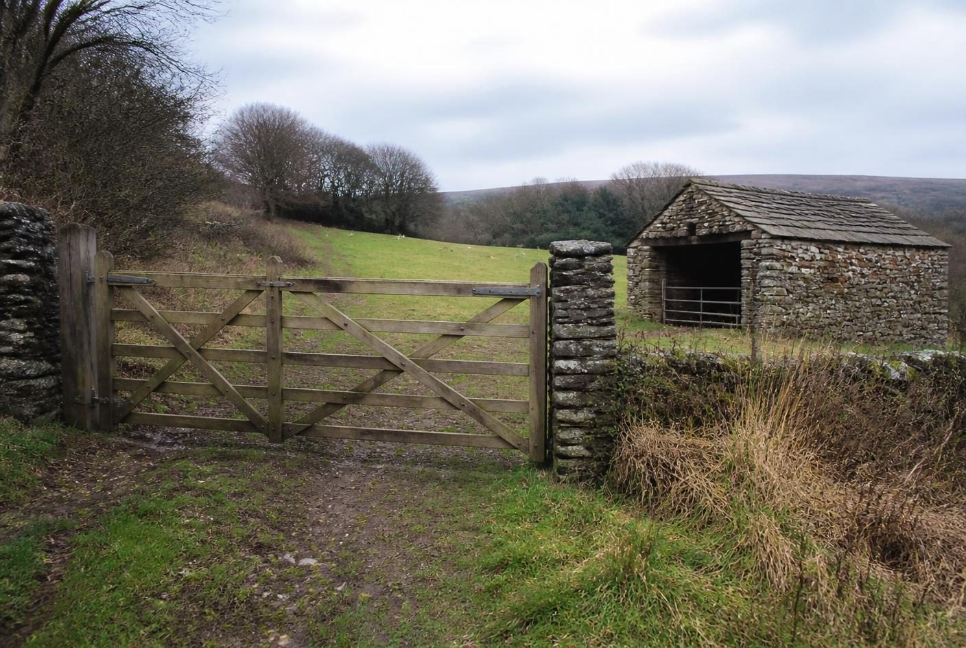 Timber field gate and stone field shelter at the edge of a grazing paddock