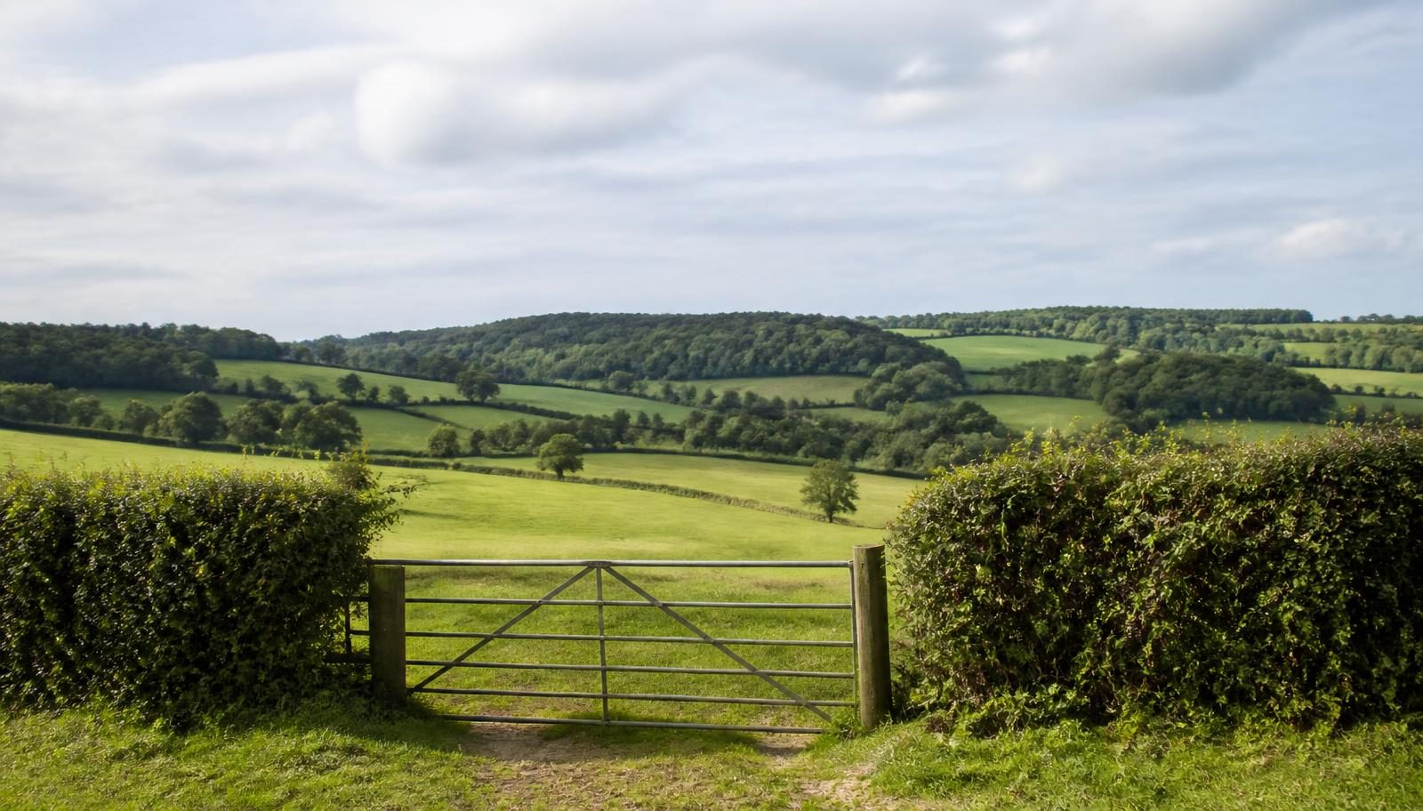 Five-bar field gate opening onto rolling green fields and distant woodland